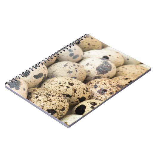 Wachteier Notizblock (Linke Seite)