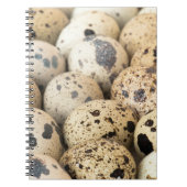 Wachteier Notizblock (Vorderseite)