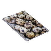 Wachteier Notizblock (Rechte Seite)