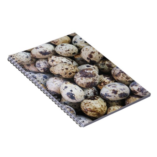 Wachteier Notizblock (Rechte Seite)