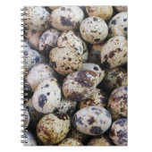 Wachteier Notizblock (Vorderseite)