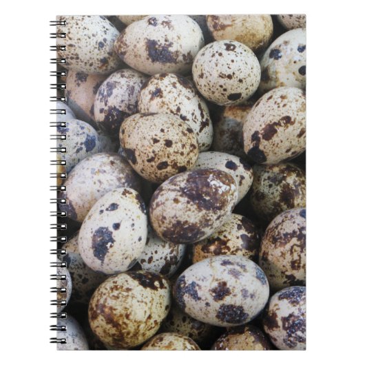 Wachteier Notizblock (Vorderseite)