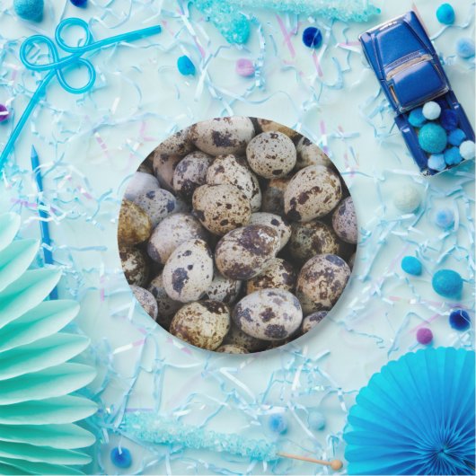 Wachteier Pappteller (Party)