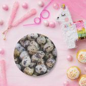 Wachteier Pappteller (Party)