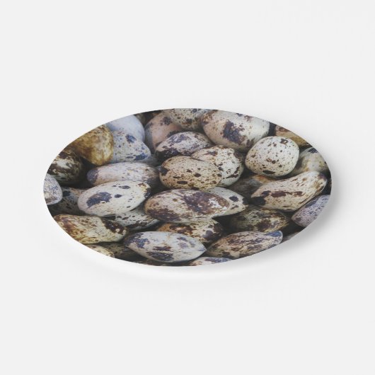 Wachteier Pappteller (Schrägansicht)