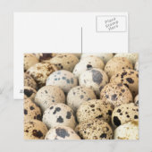 Wachteier Postkarte (Vorne/Hinten)