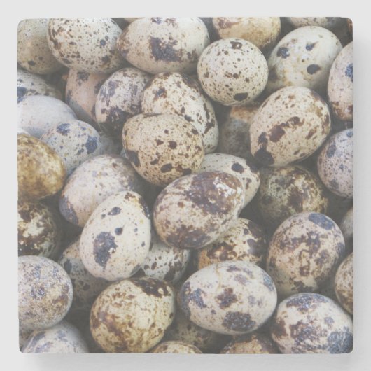 Wachteier Steinuntersetzer (Vorderseite)