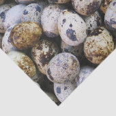 Wachtel-Eier Seidenpapier (Ausschnitt)