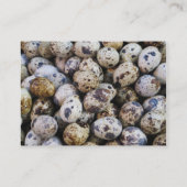 Wachtel-Eier Visitenkarte (Rückseite)