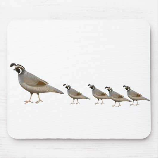 Wachtel-Familie Mousepad (Vorne)