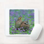 Wachtel-Fotografie Mousepad (Mit Mouse)
