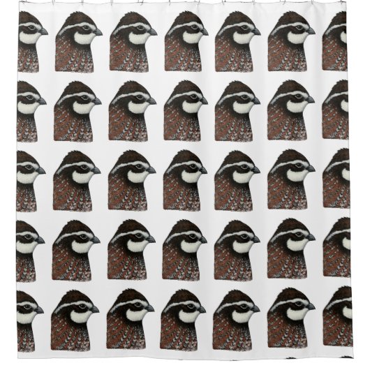 Wachtel-Kopf Duschvorhang (Vorderseite)