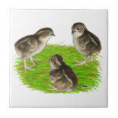 Wachtel-Küken Fliese (Vorderseite)
