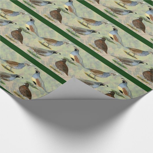 Wachtel-Quartett Geschenkpapier (Ecke)