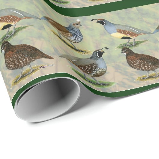 Wachtel-Quartett Geschenkpapier (Rolleneckpunkt)