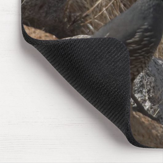Wachtel-Vogel in der Wüste Mousepad (Ecke)