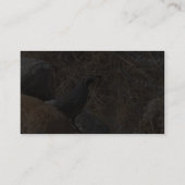 Wachtel-Vogel in der Wüste Visitenkarte (Rückseite)