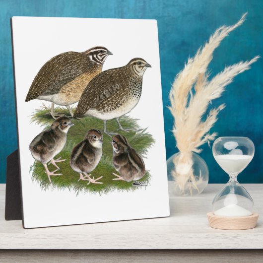 Wachtelfamilie der Gattung Coturnix Fotoplatte (Seite)
