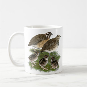 Wachtelfamilie der Gattung Coturnix Kaffeetasse