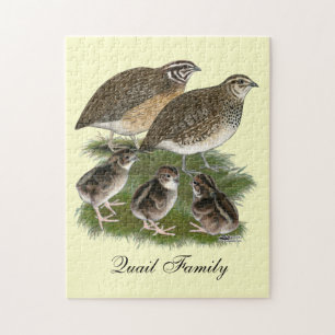 Wachtelfamilie der Gattung Coturnix Puzzle