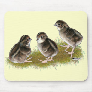 Wachtelküken der Coturnix Mousepad