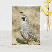 Wachteln, Geburtstag Karte (Gelbe Blume)