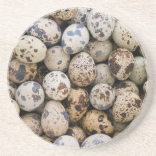 Wachteln, Huaraz, Cordillera Blanca, Ancash Getränkeuntersetzer