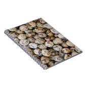 Wachteln, Huaraz, Cordillera Blanca, Ancash Notizblock (Rechte Seite)