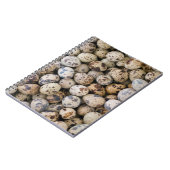 Wachteln, Huaraz, Cordillera Blanca, Ancash Notizblock (Linke Seite)