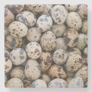 Wachteln, Huaraz, Cordillera Blanca, Ancash Steinuntersetzer