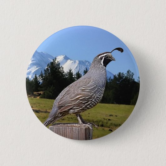 WACHTELN IM TRAUMpunkt Button (Vorderseite)