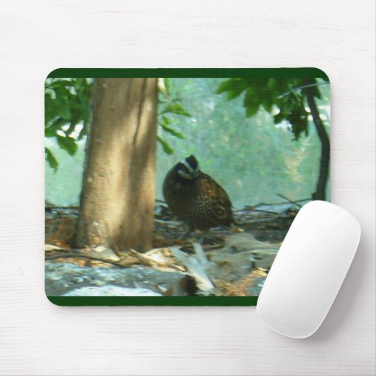 Wachteln Mousepad (Mit Mouse)