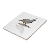 WACHTELN REFLEKTIERT FLIESE (Seite)