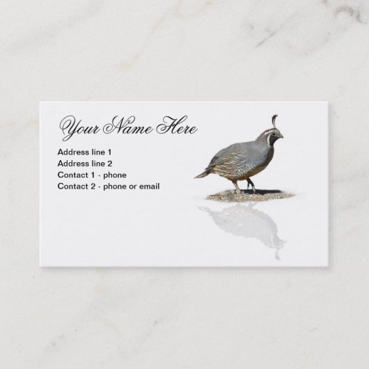 WACHTELN REFLEKTIERTES #1 VISITENKARTE (Vorderseite)