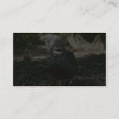 Wachteln Visitenkarte (Rückseite)