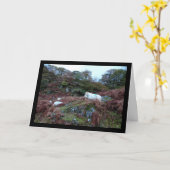 Wächter des Glen Karte (Gelbe Blume)