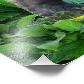 Wächter des Regenwaldes Fotodruck (Ecke)