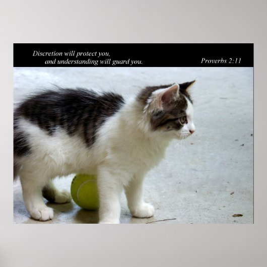 Wächter (Katze) Kunstdrucke Poster (Vorne)