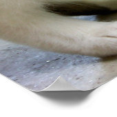 Wächter (Katze) Kunstdrucke Poster (Ecke)