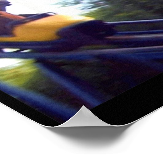 Wacky Horse Riding Roller Coaster Meme Internet Fu Poster (Ecke)