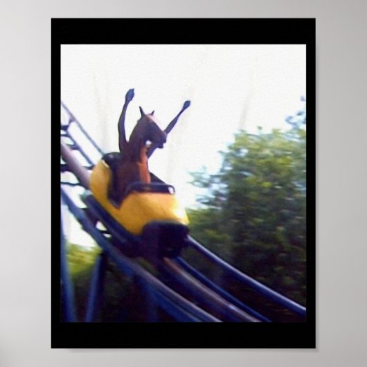Wacky Horse Riding Roller Coaster Meme Internet Fu Poster (Vorne)