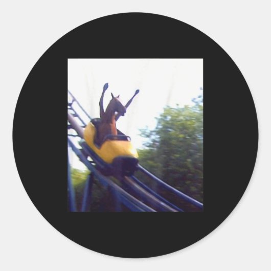Wacky Horse Riding Roller Coaster Meme Internet Fu Runder Aufkleber (Vorderseite)