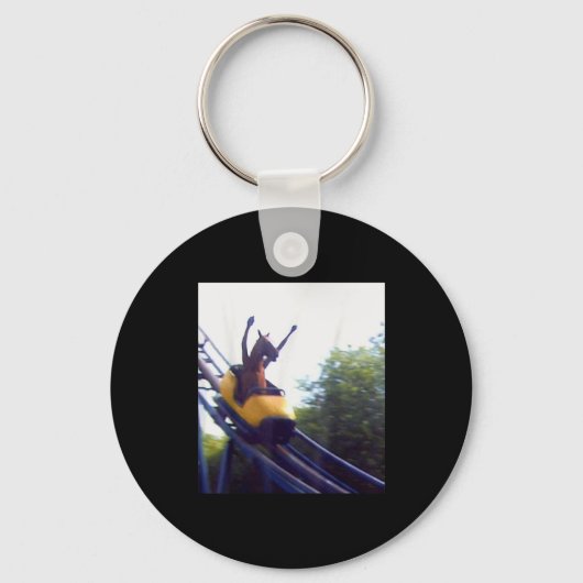 Wacky Horse Riding Roller Coaster Meme Internet Fu Schlüsselanhänger (Vorderseite)