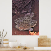 Wacky Weird Wobbegong Poster (Küche)