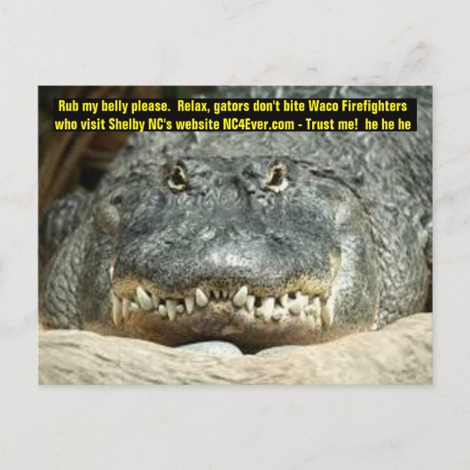 Waco Firefighter Postkarte (Vorderseite)