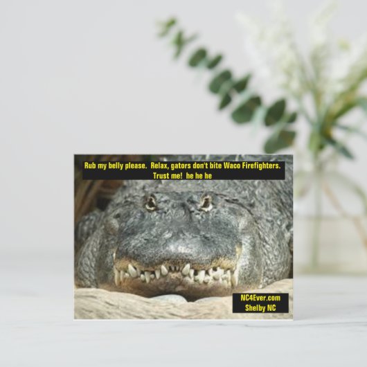 Waco Firefighter Postkarte (Stehend Vorderseite)