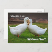 Waddle I Do Funny Ducks Postkarte (Vorne/Hinten)