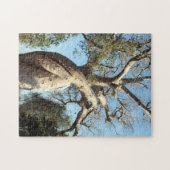 Wadenbäume, Madagaskar Puzzle (Horizontal)