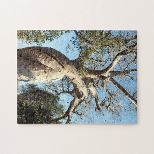 Wadenbäume, Madagaskar Puzzle (Horizontal)