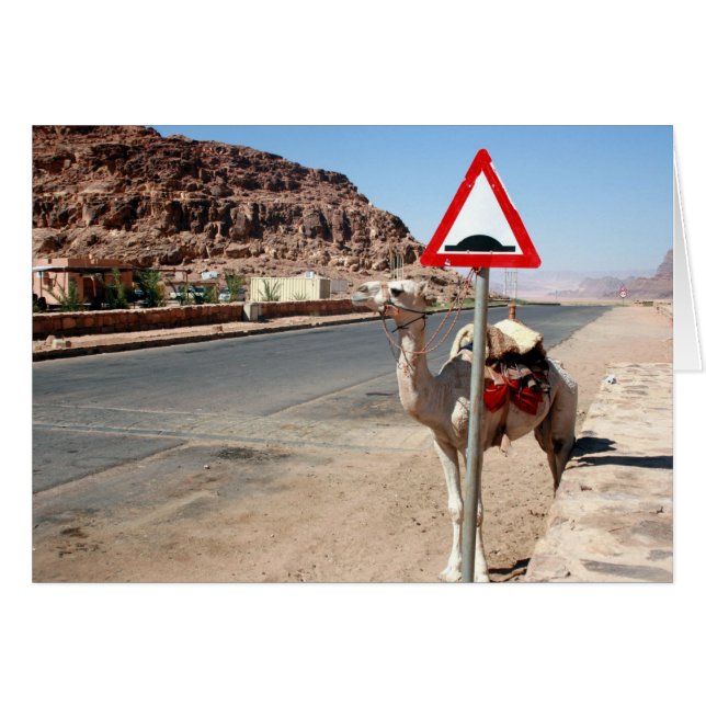 Wadi-Rum-Kamel (Vorderseite (Horizontal))